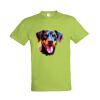 SOL'S Regent T-Shirt Thumbnail