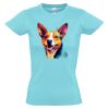 SOL'S Ladies Imperial Heavy T-Shirt Thumbnail