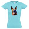 SOL'S Ladies Imperial Heavy T-Shirt Thumbnail