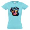 SOL'S Ladies Imperial Heavy T-Shirt Thumbnail