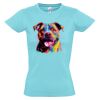 SOL'S Ladies Imperial Heavy T-Shirt Thumbnail