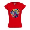 SOL'S Ladies Moon V Neck T-Shirt Thumbnail
