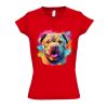 SOL'S Ladies Moon V Neck T-Shirt Thumbnail
