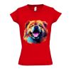 SOL'S Ladies Moon V Neck T-Shirt Thumbnail