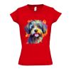 SOL'S Ladies Moon V Neck T-Shirt Thumbnail