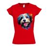 SOL'S Ladies Moon V Neck T-Shirt Thumbnail
