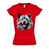 SOL'S Ladies Moon V Neck T-Shirt Thumbnail