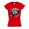 SOL'S Ladies Moon V Neck T-Shirt Thumbnail