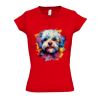 SOL'S Ladies Moon V Neck T-Shirt Thumbnail