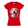 SOL'S Ladies Moon V Neck T-Shirt Thumbnail