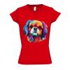 SOL'S Ladies Moon V Neck T-Shirt Thumbnail
