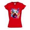 SOL'S Ladies Moon V Neck T-Shirt Thumbnail
