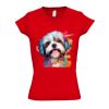 SOL'S Ladies Moon V Neck T-Shirt Thumbnail