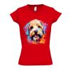 SOL'S Ladies Moon V Neck T-Shirt Thumbnail