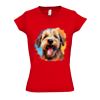 SOL'S Ladies Moon V Neck T-Shirt Thumbnail