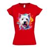 SOL'S Ladies Moon V Neck T-Shirt Thumbnail