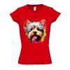 SOL'S Ladies Moon V Neck T-Shirt Thumbnail