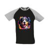 SOL'S Funky Contrast Baseball T-Shirt Thumbnail