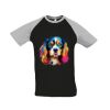 SOL'S Funky Contrast Baseball T-Shirt Thumbnail