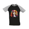 SOL'S Funky Contrast Baseball T-Shirt Thumbnail