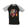 SOL'S Funky Contrast Baseball T-Shirt Thumbnail