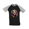 SOL'S Funky Contrast Baseball T-Shirt Thumbnail