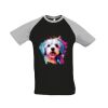 SOL'S Funky Contrast Baseball T-Shirt Thumbnail