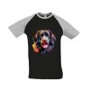 SOL'S Funky Contrast Baseball T-Shirt Thumbnail