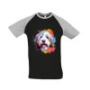 SOL'S Funky Contrast Baseball T-Shirt Thumbnail