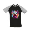 SOL'S Funky Contrast Baseball T-Shirt Thumbnail