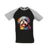 SOL'S Funky Contrast Baseball T-Shirt Thumbnail