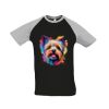 SOL'S Funky Contrast Baseball T-Shirt Thumbnail
