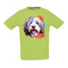 SOL'S Sporty Performance T-Shirt Thumbnail